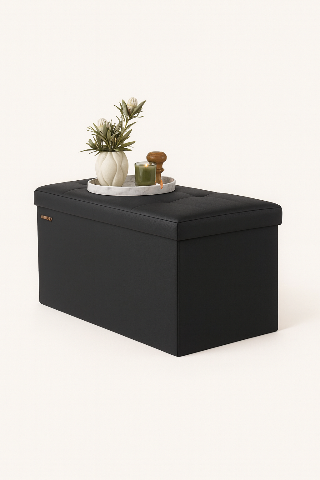 Black storage ottoman with a plant and small items on a white background