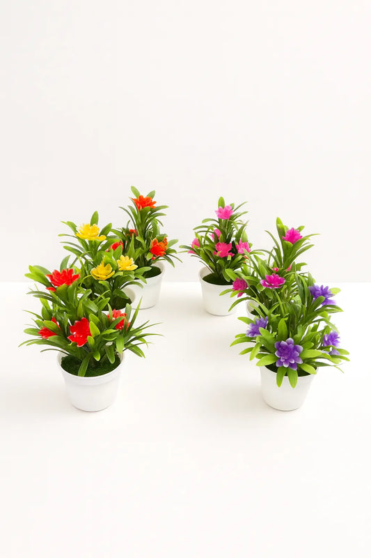 Set of four small potted plants with colorful flowers on a white background